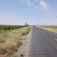 باغ سردرختی همه متراژ با آب شیرین|فروش دفتر صنعتی، کشاورزی، تجاری|قم, زاویه|دیوار
