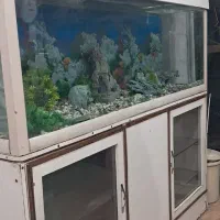 آکواریم بزرگ