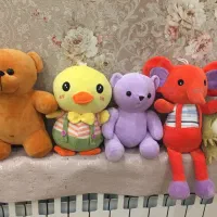 عروسک پولیشی نو