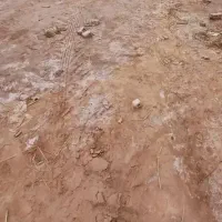 اهواز حمیدیه شریعتی