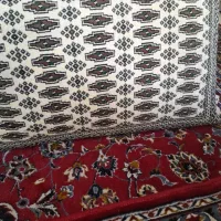 پشتی.دوجفت.که هرجفت آن یک رنگ است