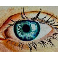 آموزش نقاشی با خودکار رنگی|خدمات آموزشی|یزد, |دیوار