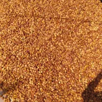 قصب پاک شده|عمده‌فروشی|فراشبند, |دیوار