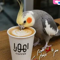 واگذاری کافه