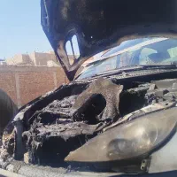 پژو ۲۰۶ صندوقدار سوخته|خودرو سواری و وانت|کرمان, |دیوار