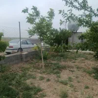 زمین ۳۰۰متری علوم پزشکی
