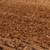 زمین کشاورزی ۲هزارمتر