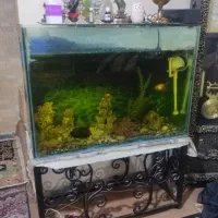 آکواریوم فقط ۳میلیون