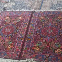 قالی دست بافت نهاوند|فرش|فردیس, شهرک راه آهن|دیوار