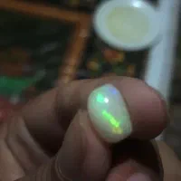 کلکسیونی|کلکسیون اشیاء عتیقه|تربت جام, نظامی|دیوار