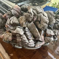 منقل و زغال