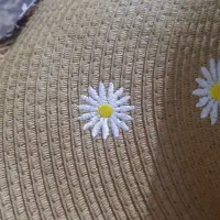 یک عدد فیش حج تمتع