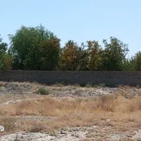 زمین کارخانه ی قند|فروش زمین و ملک کلنگی|چناران, |دیوار