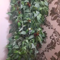 درختچه البالو|گل مصنوعی|تهران, تهرانپارس شرقی|دیوار