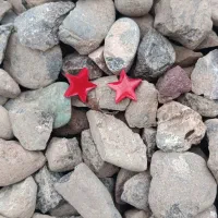 گوشواره میخی|زیورآلات و اکسسوری|آستانه اشرفیه, |دیوار