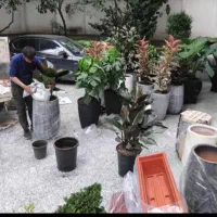 خدمات فضای سبز گلکاری هرس کودهی باغبانی خاک گلدان