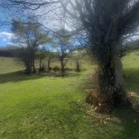 خرید و فروش ملک