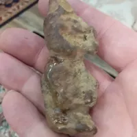 سنگ شکلک دار|بدلیجات|رشت, کوی جام جم|دیوار