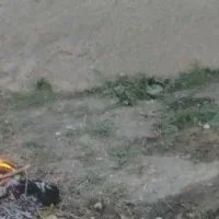 زمین-کشاورزی