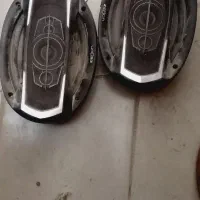 ضبط و باند در حدنو سالم سالم