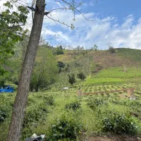 4500-متر-باغی-کتشال