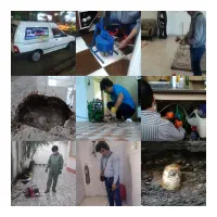 نشت یابی و لوله بازکنی ایمانی|خدمات پیشه و مهارت|لاهیجان, شهید آوینی|دیوار