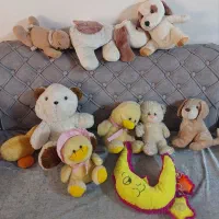 تعدادی عروسک پلیشی