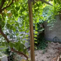 یه خوابه همکف اصفهانک.|اجارهٔ آپارتمان|اصفهان, اصفهانک|دیوار