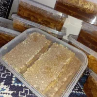 عسل طبیعی  گون لرستان|خوردنی و آشامیدنی|تهران, جی|دیوار