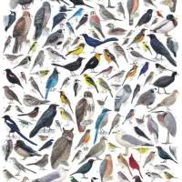 بازدید و اردو برای مدارس|اجارهٔ کوتاه‌مدت ویلا و باغ|اصفهان, رهنان|دیوار