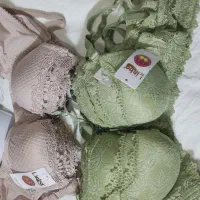 پوشاک ولباس زیر|لباس|کامفیروز, |دیوار