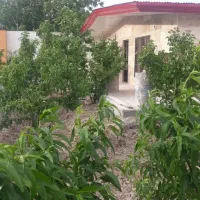 نگهبان باغ