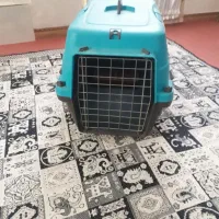 باسک حمل سگ