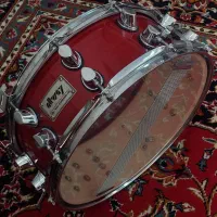 سایدرام طبل ریز دوقل آلوی 10 پیچ