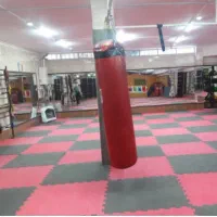 اموزش رشته کیک بوکسینگ و کونگ فو باشگاه اوجال