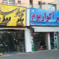 مغازه ۵۰ متری بلوار پروین (شاهد)