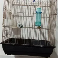 قفس معاوضه با طوطی برزیلی