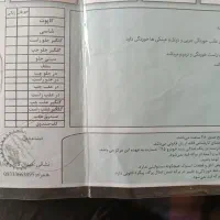 206تیپ2 مدل90|خودرو سواری و وانت|ابریشم, |دیوار