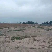 2هزار-متر-زمین-باغی-با-سنداورین-املاک-سالار