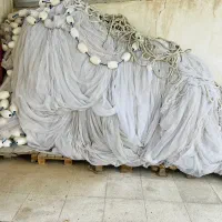 جل کاشغی در حد نوو|ماهیگیری|قشم, |دیوار