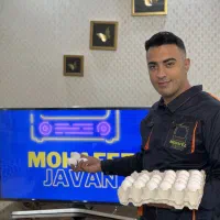 محافظ صفحه/گلس تلویزیون ۵۸۰ اینچ و استپ