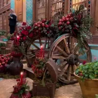 عکاسی یلدایی در لوکیشن جذاب|خدمات پذیرایی، مراسم|رشت, گلسار|دیوار