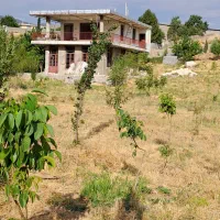 فروش-زمین-5000-متری-با-مجوز-گلخانه