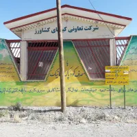 فروش کارخانه در بافت اصلی شهرستان تفرش ۲۰۰۰ متر|فروش دفتر صنعتی، کشاورزی، تجاری|تفرش, |دیوار