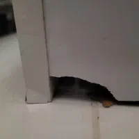 میز منشی|مبلمان اداری|قزوین, |دیوار