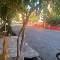 منزل مبله دشت ارژن فضای کامل آرام