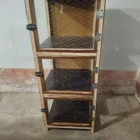 جفت کن کبوتر وانواع پرنده