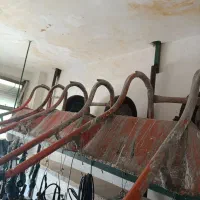 اجاره ابزار نردبان چهارپایه فرغون جرثقیل فرز پیکور|مصالح و تجهیزات ساختمان|کرمانشاه, |دیوار