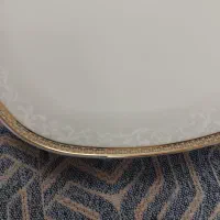 دو دست بشقاب پلوخوری چینی زرین|ظروف سرو و پذیرایی|تهران, هاشمآباد|دیوار