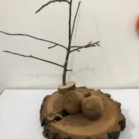 تنه ی درخت و ۲ تا گنجشک و درخت البالو